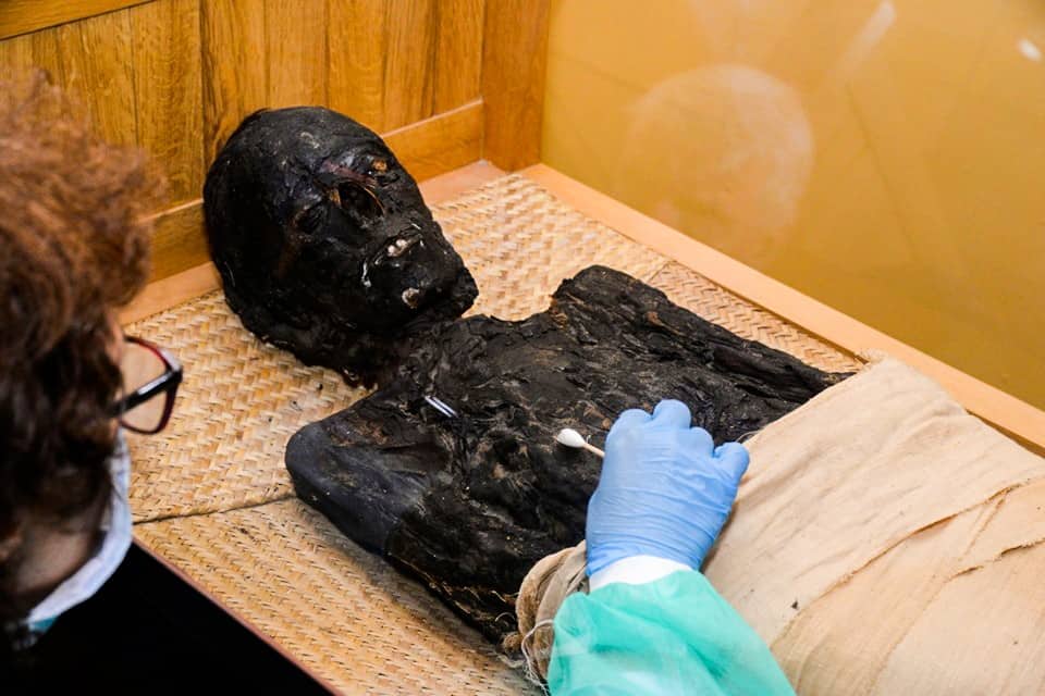 Mumia z raciborskiego muzeum przedmiotem specjalistycznych badań [ZDJĘCIA]