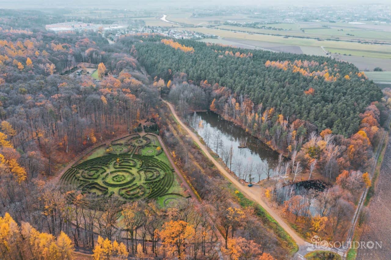 Ogłoszono nabór na stanowisko dyrektora Arboretum Bramy Morawskiej
