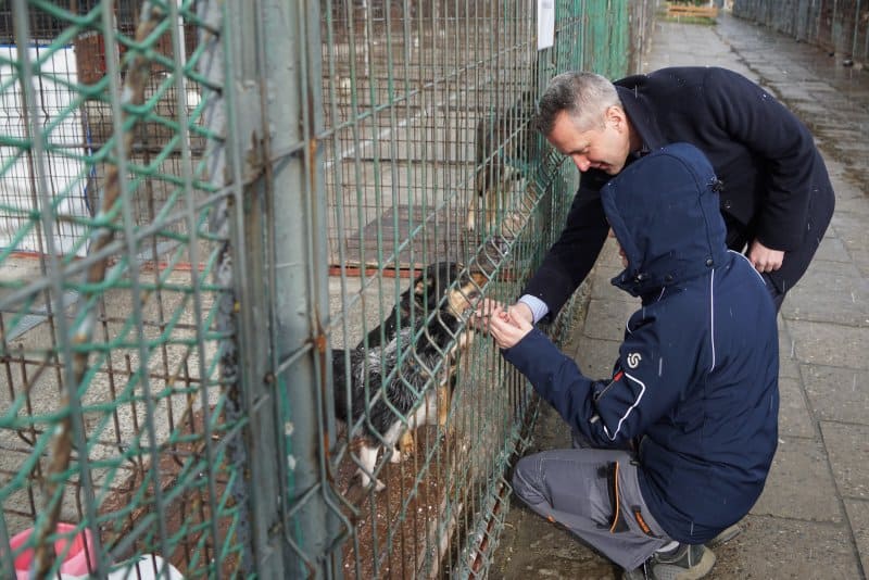 Interwencja OTOZ Animals. Wolontariusze pojawili się z psami w raciborskim ratuszu [ZDJĘCIA]