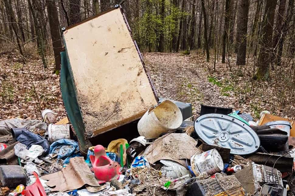 Trzech kompletnie pijanych mężczyzn pojechało wyrzucić śmieci do lasu