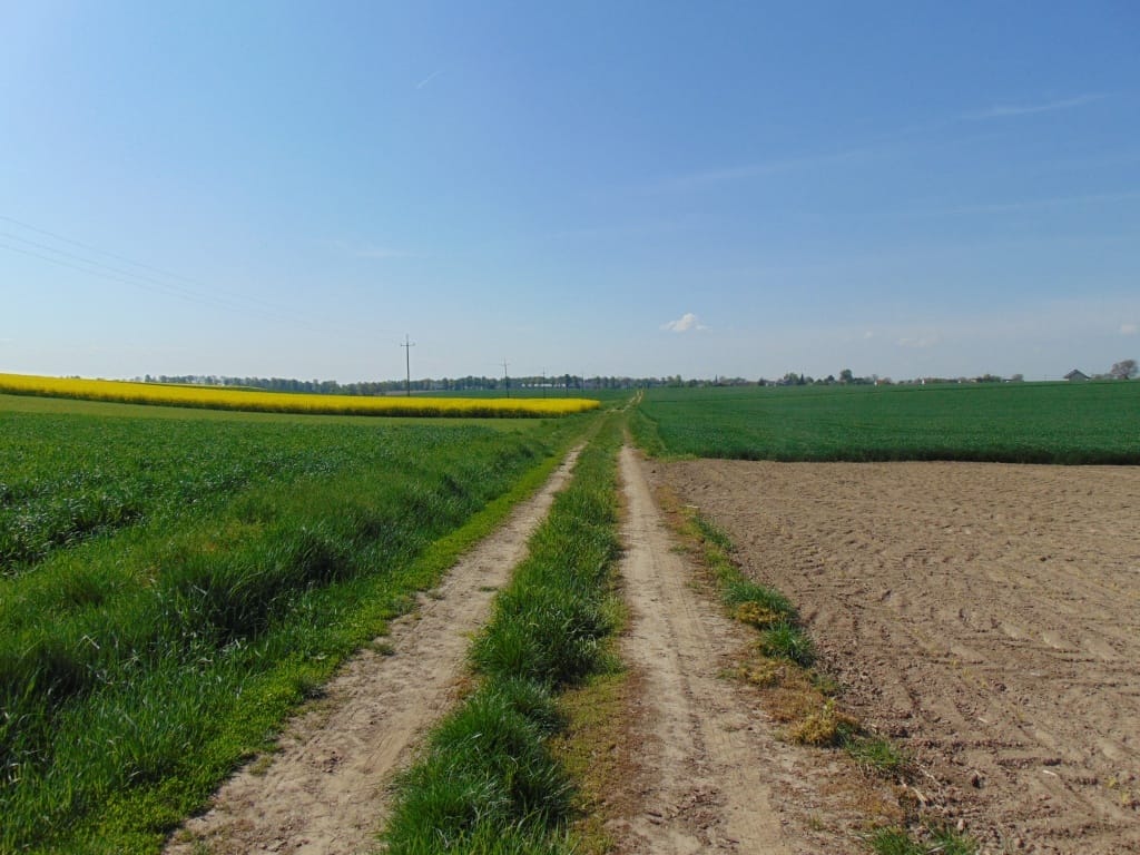 Ruszyła przebudowa dróg transportu rolnego na terenie gminy Pietrowice Wielkie
