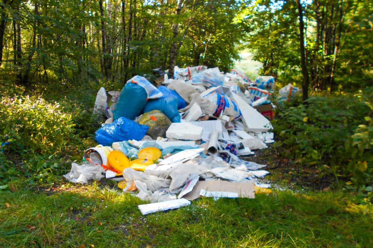 Leśni śmieciarze na celowniku raciborskiej straży miejskiej
