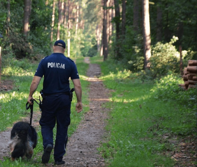 Policja apeluje do grzybiarzy z powiatu raciborskiego