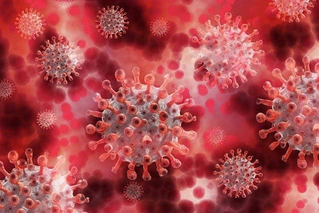 MZ: 5 300 nowych zakażeń koronawirusem w Polsce! Najwięcej od początku pandemii!