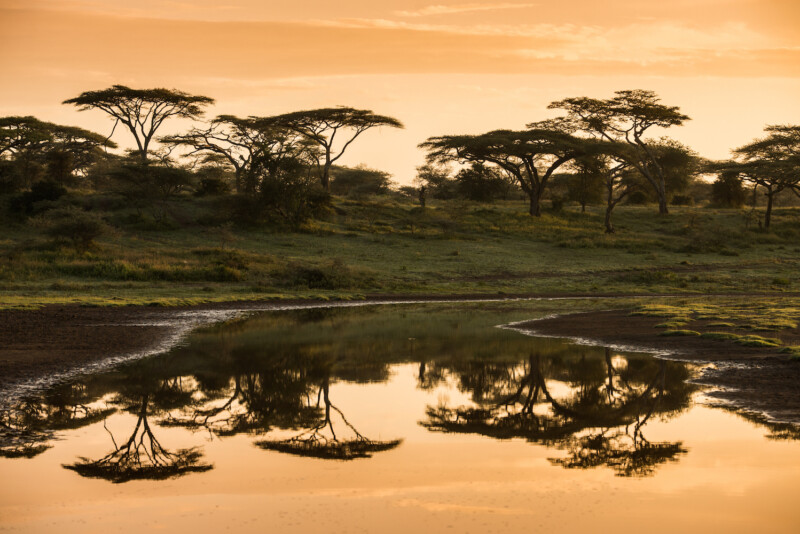 Wakacje w Tanzanii — dlaczego warto tam polecieć? Podróżuj z Feel The Travel!