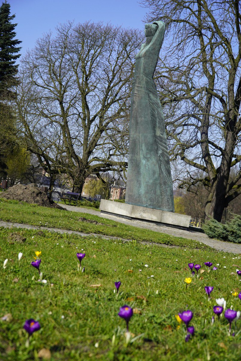 Pomnik Matki Polki w Raciborzu w otoczeniu kolorowych krokusów