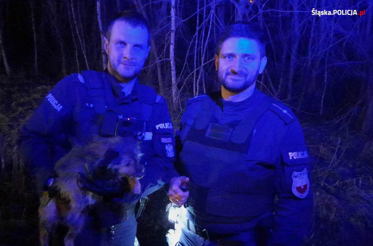 Policjanci ze Śląska uratowali zbłąkanego psa